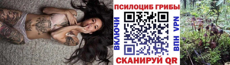 Псилоцибиновые грибы мицелий  omg ССЫЛКА  Наволоки 